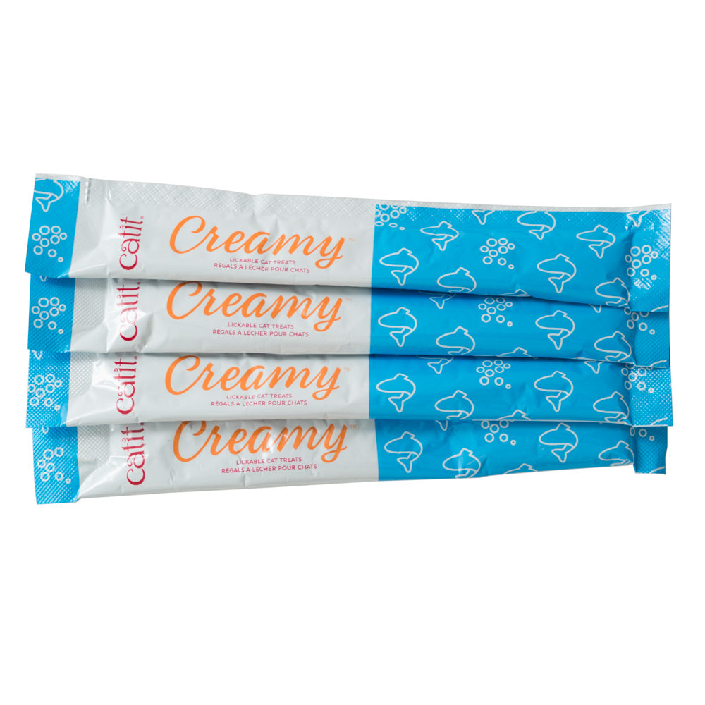 Meow Boarding: Cat Hairways