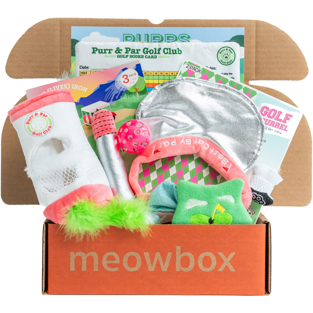 meowbox cat subscription box - monthly cat toys & cat treats box