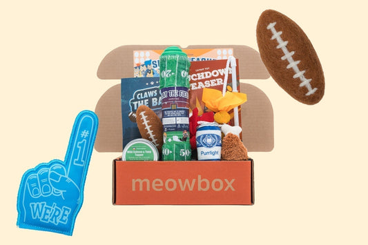 The Supurr League Football Playbook: Cat Toy Tips for Enrichment