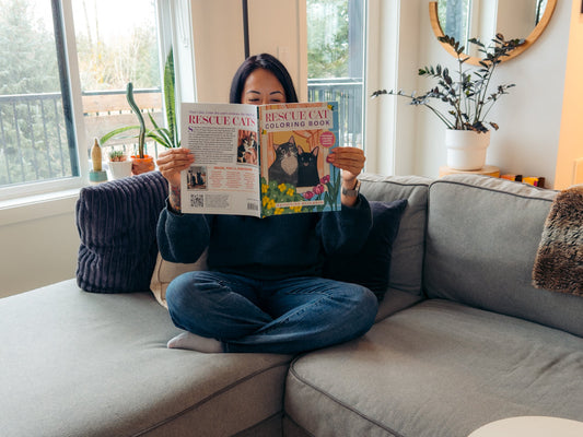 Our Top Book Picks for Cat Lovers | cat toys, cat treats, cat goodie box