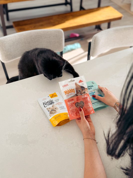 How We Choose Cat Treats for meowboxes