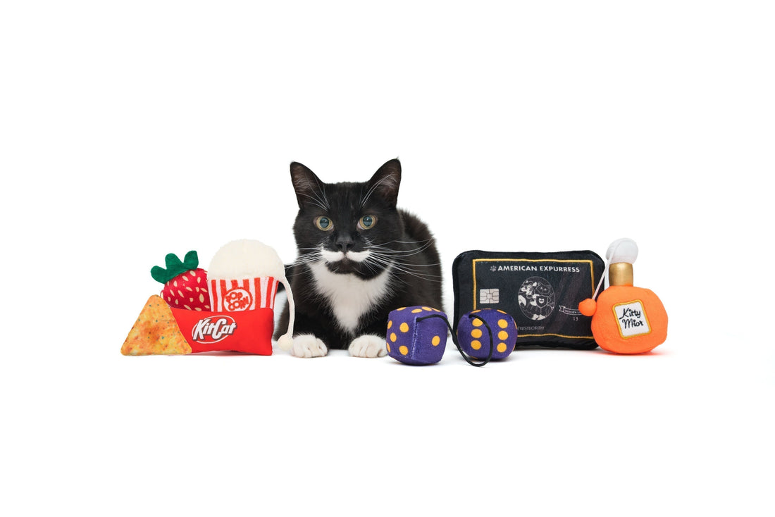 How to Prevent Your Cat From Losing Interest in Toys | cat subscription box, monthly cat toy box, cat goodie box, cat toy rotation, cat toy fatigue