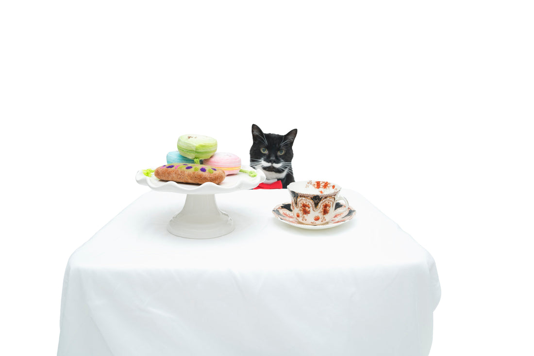 Your Purrfect Day in Paris (With Stops for Cat Lovers) | cat subscription box, cat box, monthly cat toy box, cat treats, Paris for cat lovers