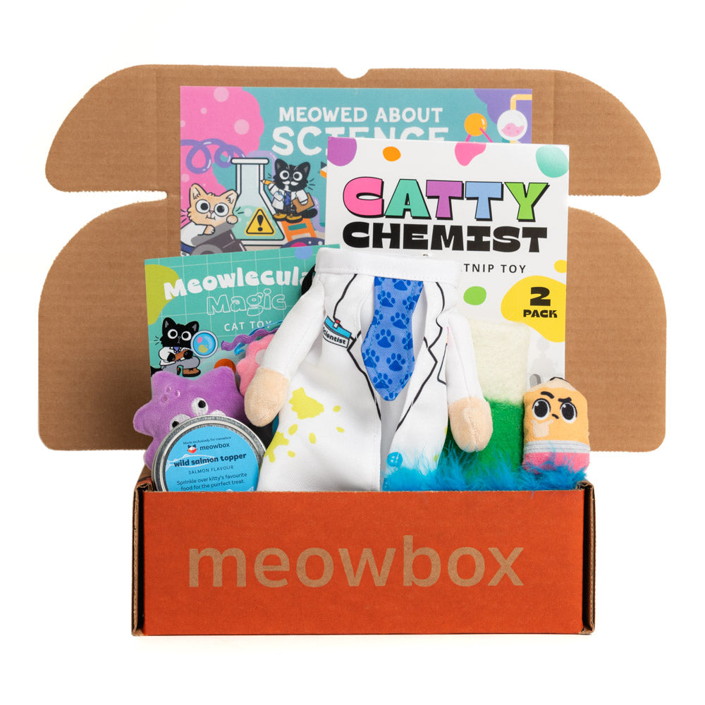 Are Cat Goodie Boxes Worth It? - cat goodie box, cat toys, cat treats