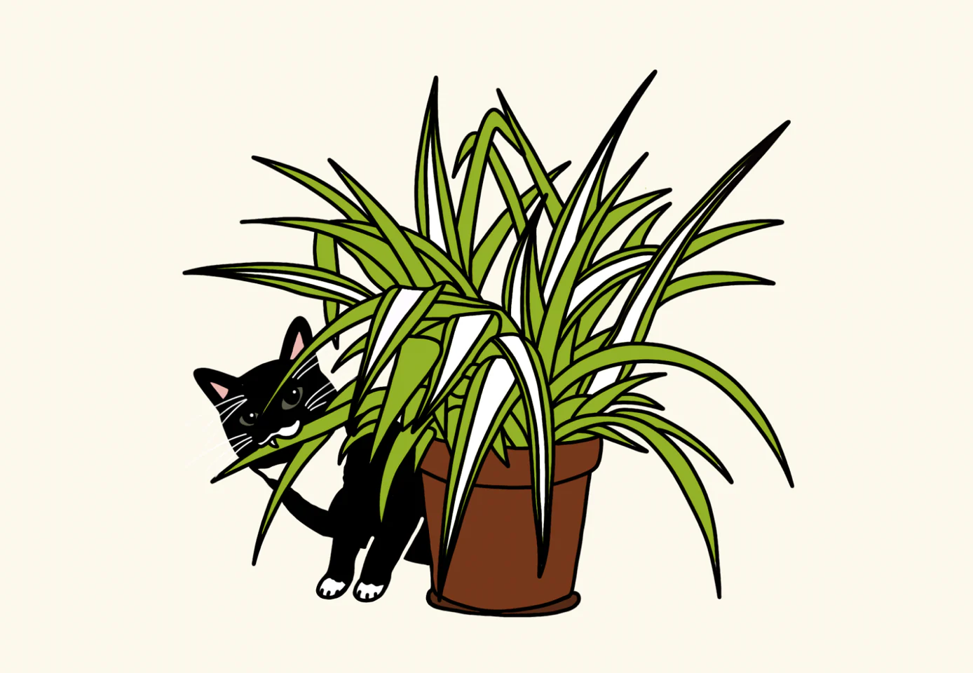 A Plant That Jenna Can't Kill (and that won't kill Marshall)