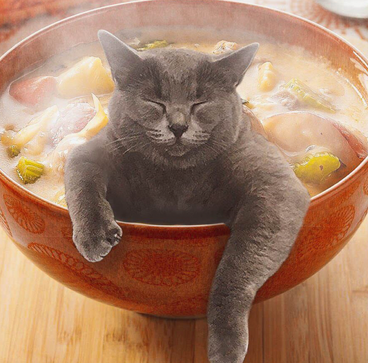 Introducing Every Cat-Loving Foodie's New Favourite Instagram