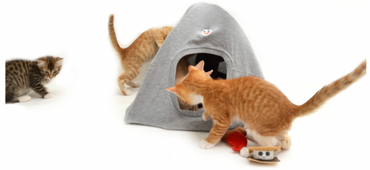 DIY Kitty Tent