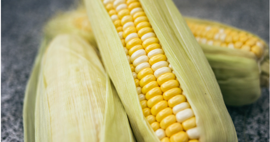 Superfoods, Meat & Vegetables: Why Corn Doesn't Belong In Pet Food