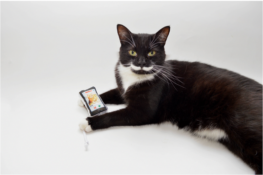 If Cats Used Tinder...