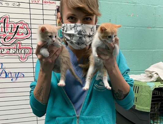 One Box Can Spotlight: Animal Care Centers of New York City