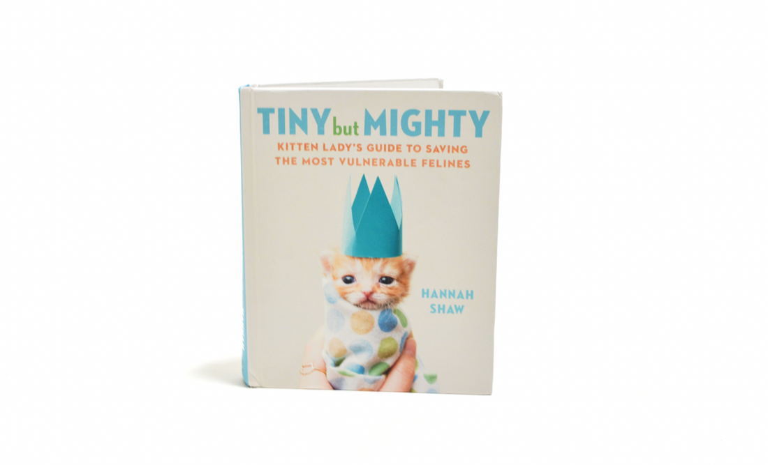 Tiny but Mighty: The Book Every Cat Lover Needs to Get their Paws On