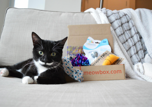 2016 Holiday Gift Guide for Cat Lovers