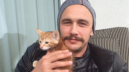Our Favorite Celebrity Cat Dads