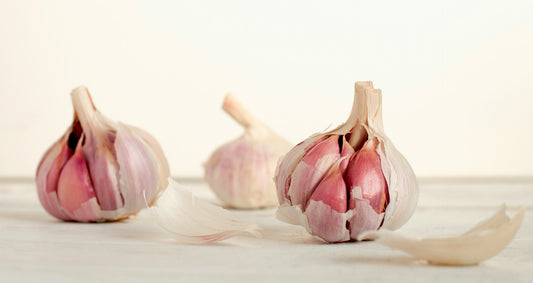 Is Garlic Toxic to Cats?