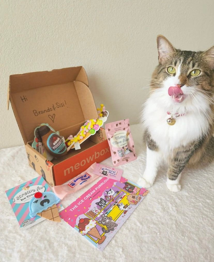 meowbox net worth - Ilustrasi 3