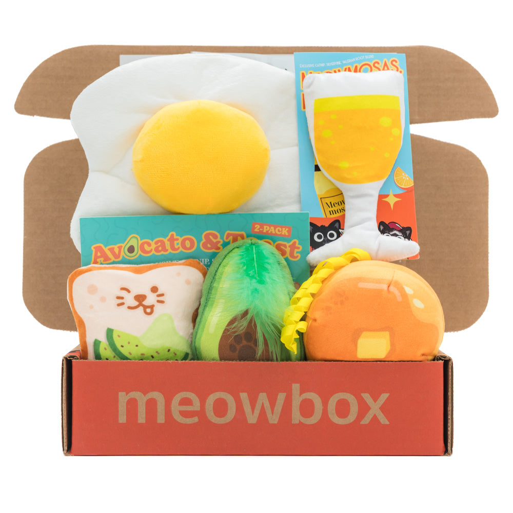 meowbox Subscription