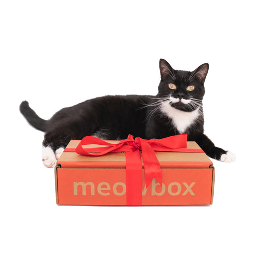 meowbox cat subscription box - monthly cat toys & cat treats box