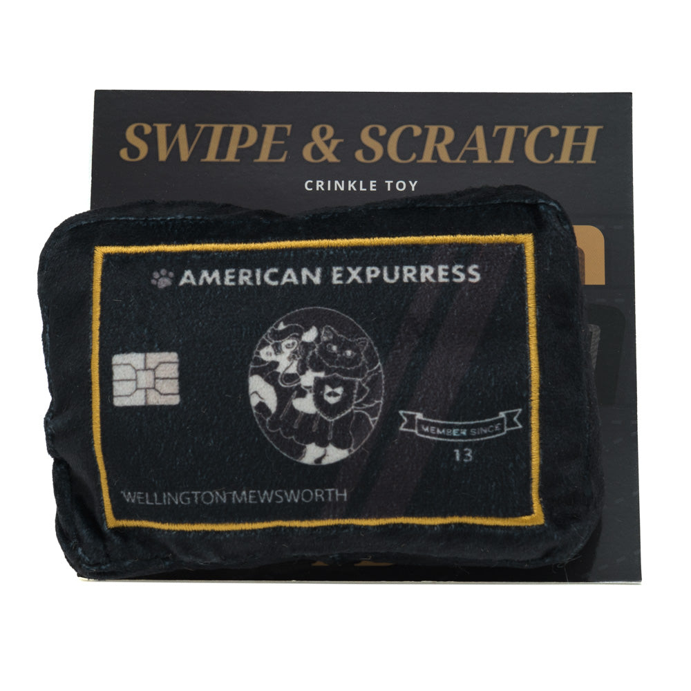 Cats with Cash – themed meowbox cat subscription box with cat toys and cat treats