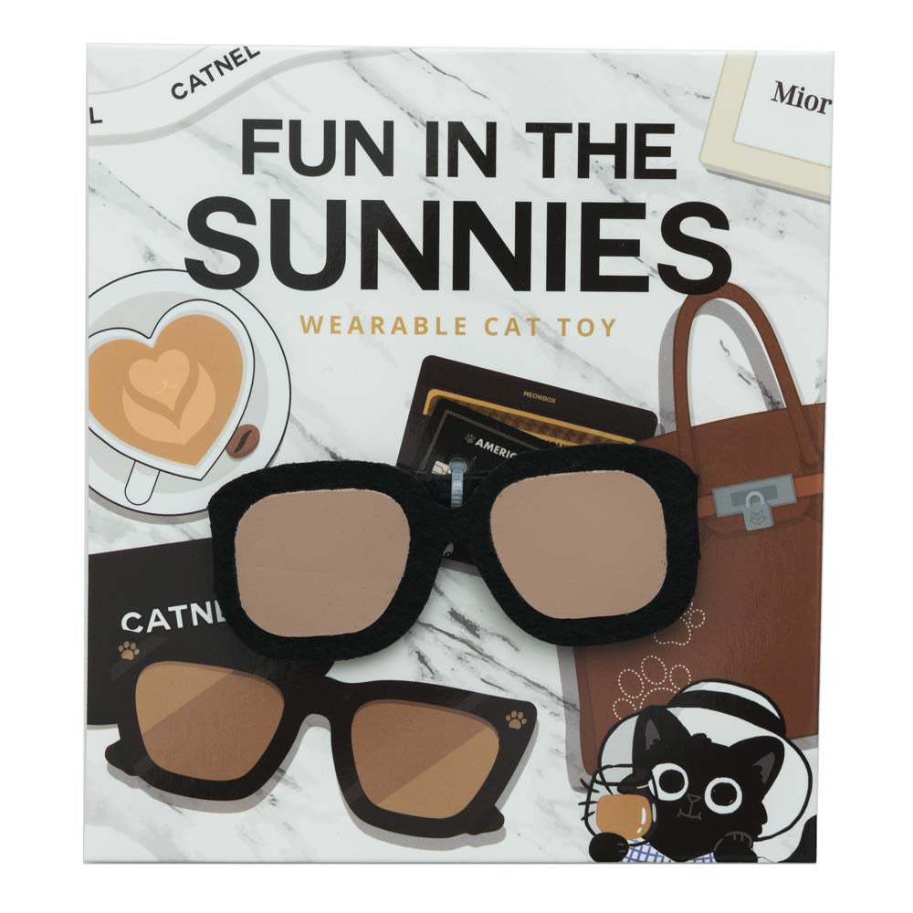 Cats with Cash | meowbox Monthly Cat Toys & Cat Treats