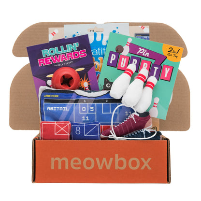 Kittypin Lanes CA – themed meowbox cat subscription box with cat toys