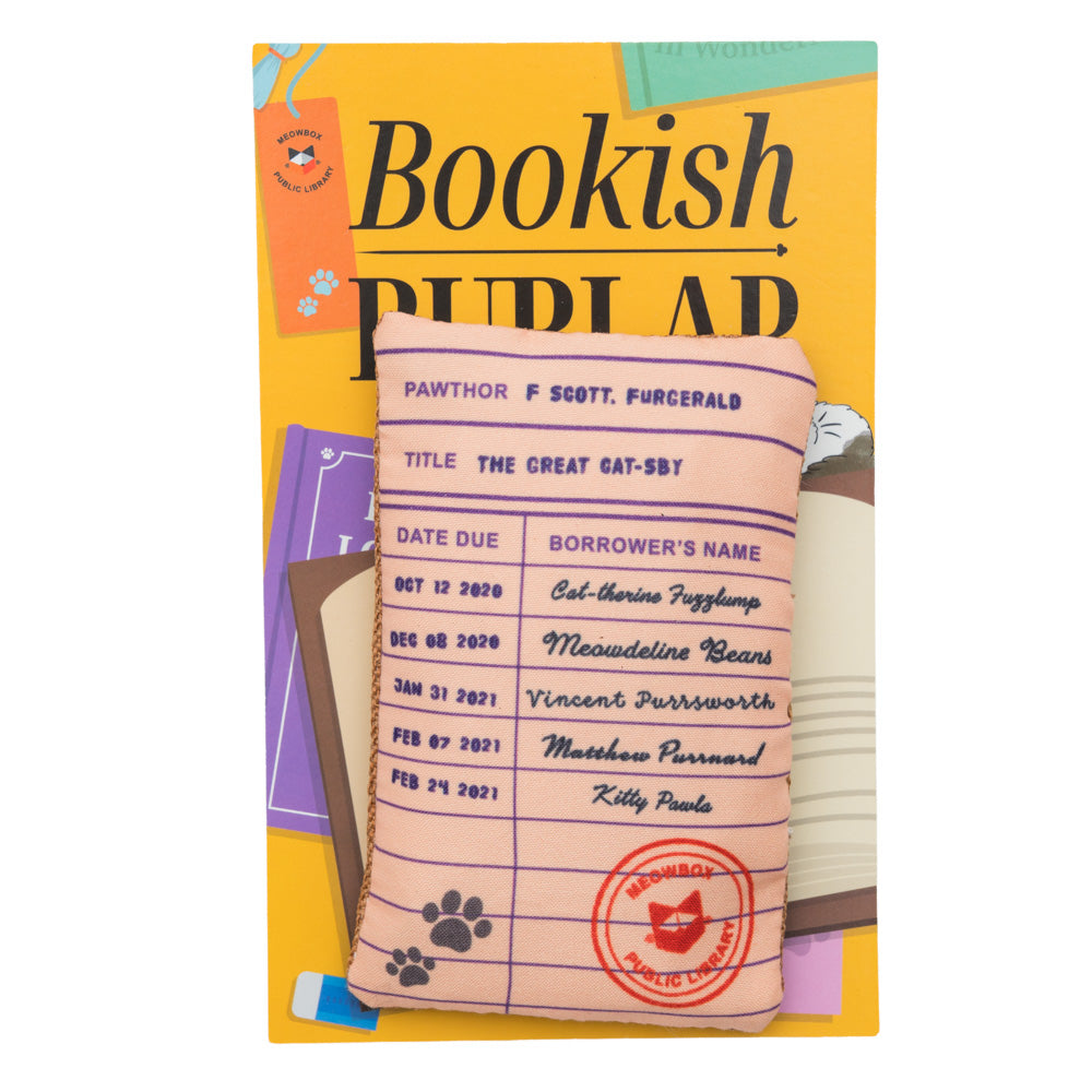 Pawblic Library – themed meowbox cat subscription box with cat toys and cat treats