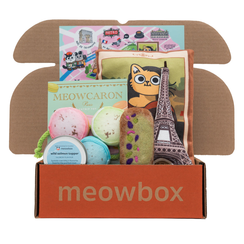 meowbox cat subscription box - monthly cat toys & cat treats box