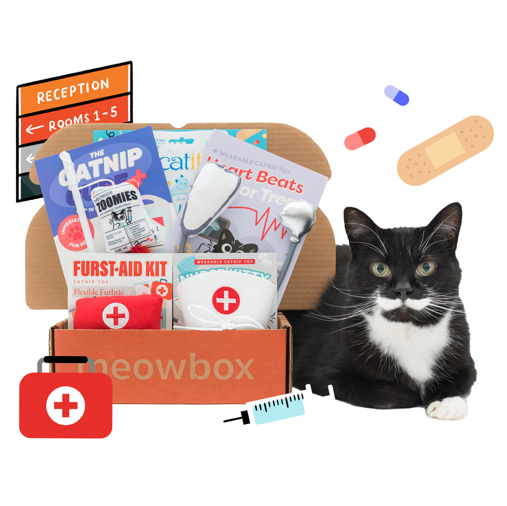 meowbox - A cat subscription box filled with fun unique toys and treat