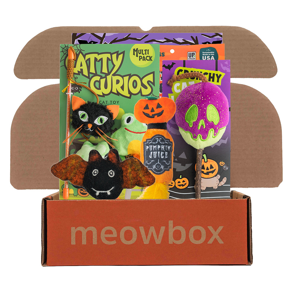meowbox Cat Subscription Box