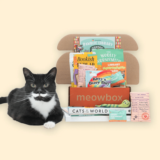 meowbox Cat Subscription Box