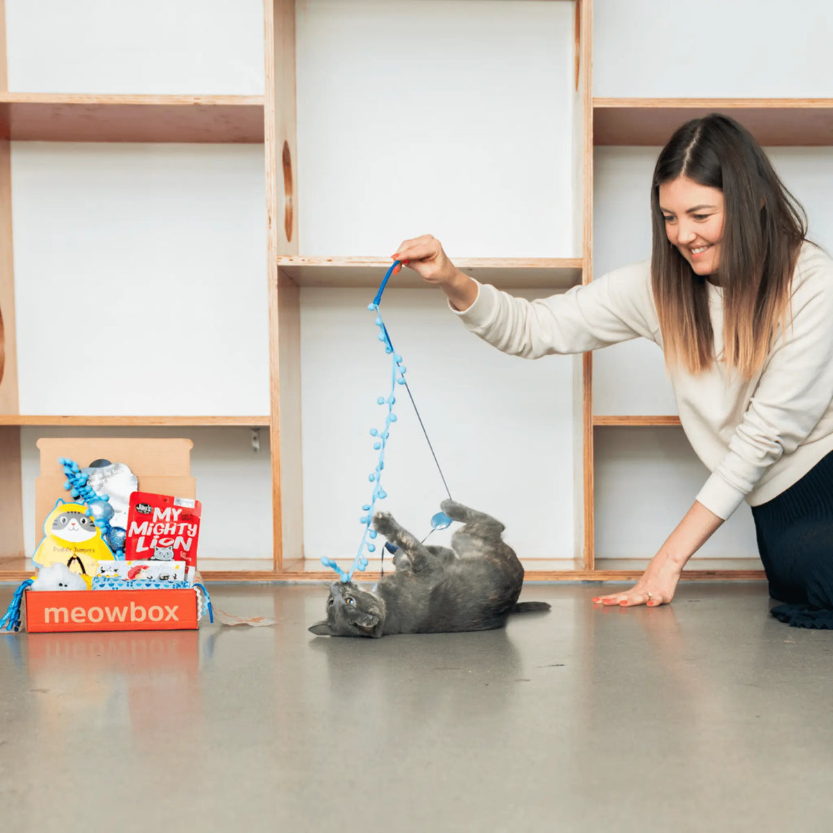meowbox Cat Subscription Box
